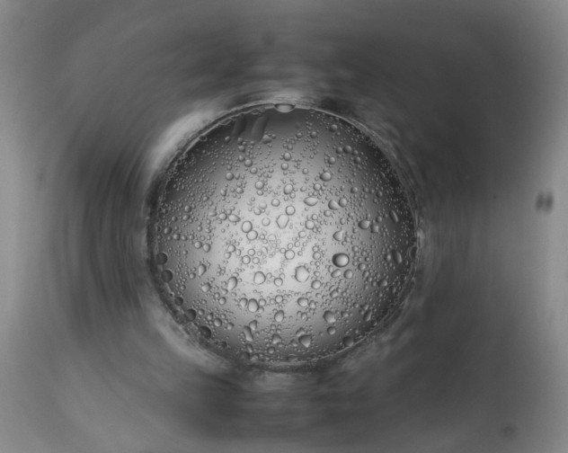 X0000113210149200909241432