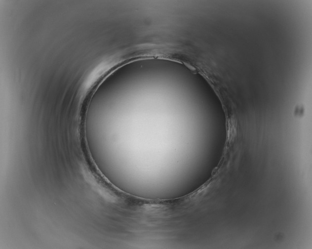 X0000113210150200909241432