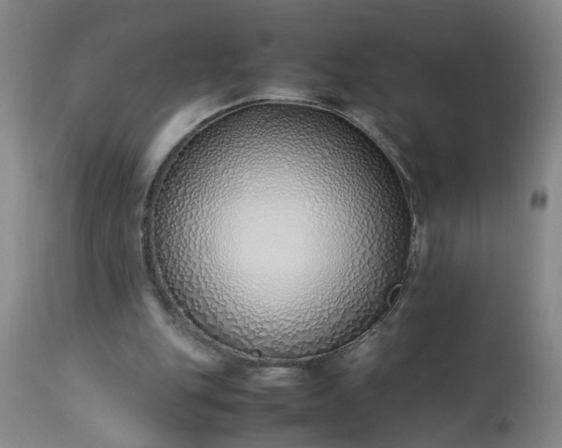 X0000113210151200909241432