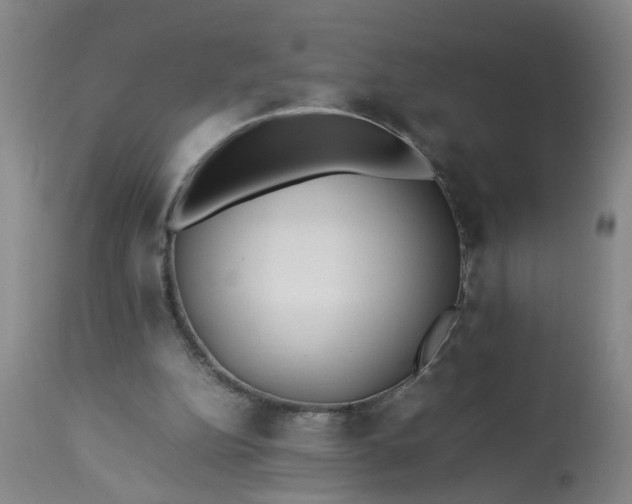 X0000113210152200909241432