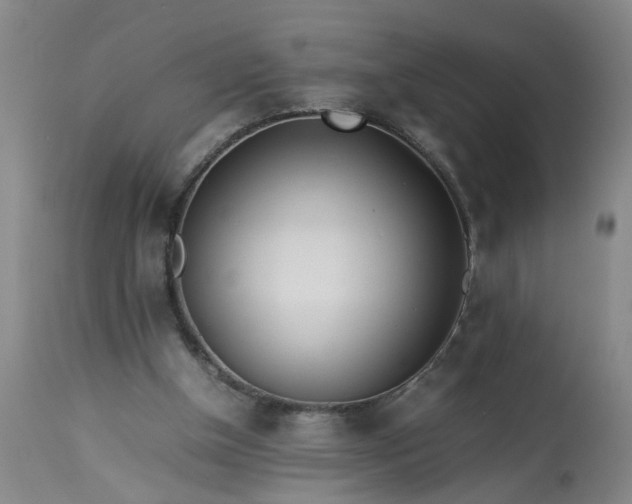 X0000113210154200909241432