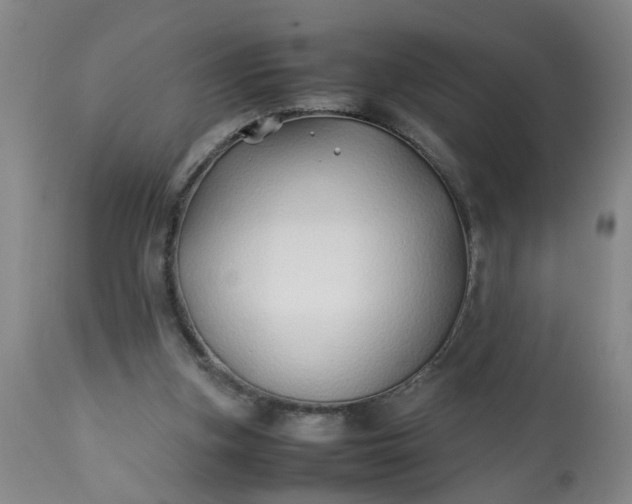 X0000113210155200909241432