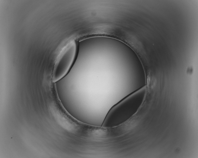 X0000113210156200909241432