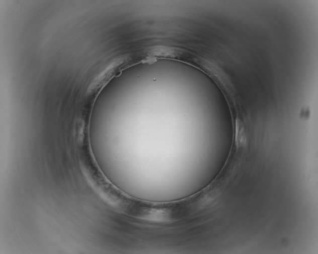 X0000113210157200909241432