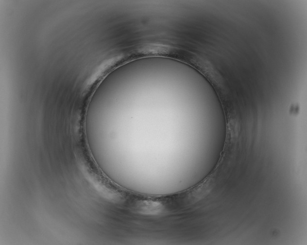 X0000113210159200909241432