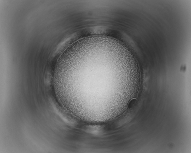 X0000113210161200909241432