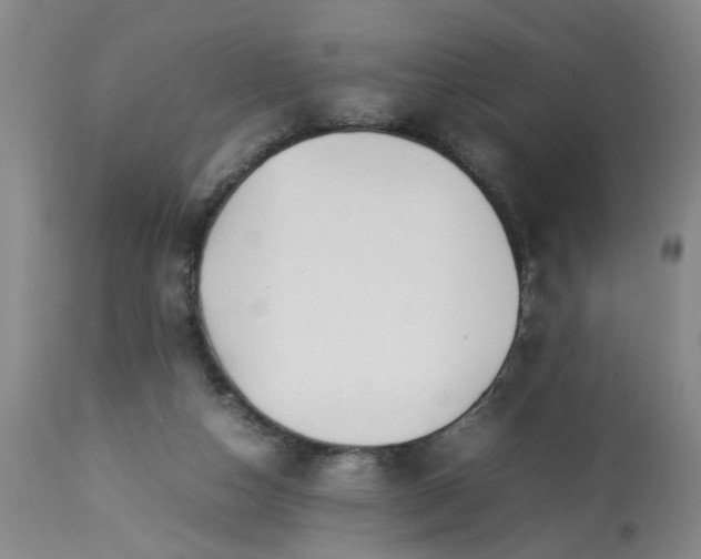 X0000113210162200909241432