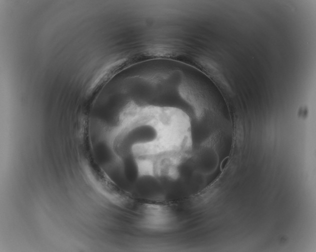 X0000113210167200909241432