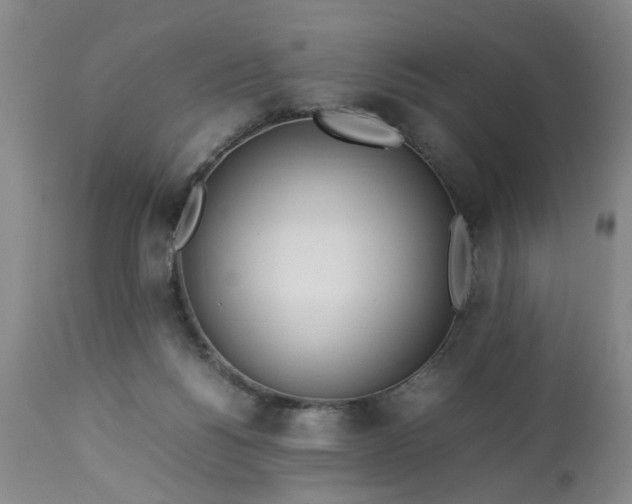 X0000113210168200909241432