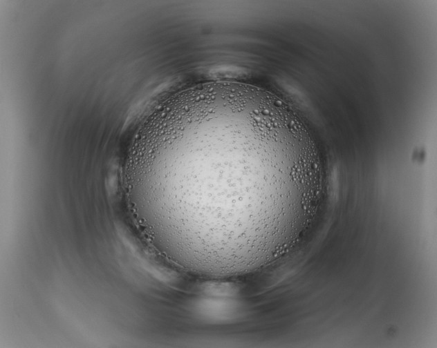 X0000113210169200909241432