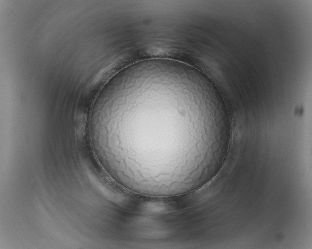 X0000113210171200909241432