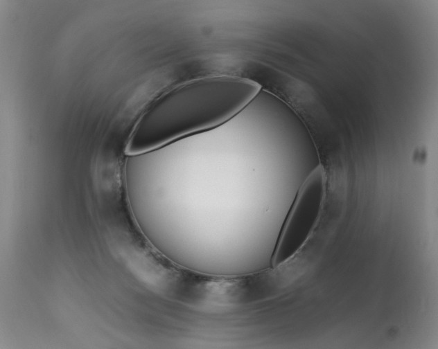 X0000113210172200909241432