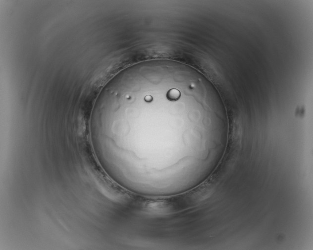 X0000113210173200909241432