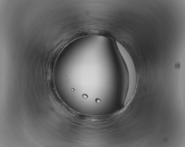 X0000113210174200909241432