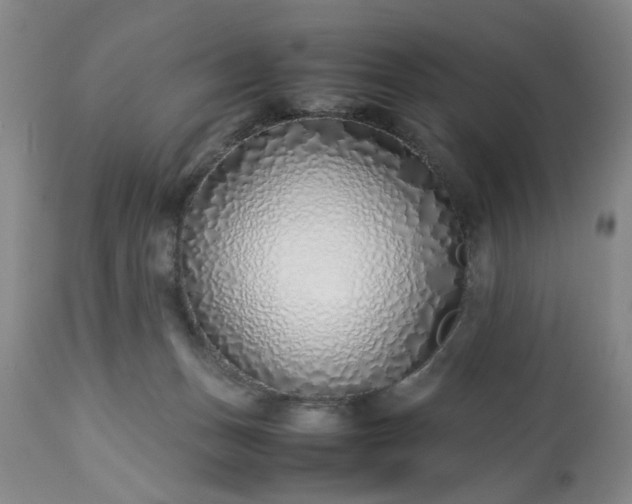 X0000113210175200909241432