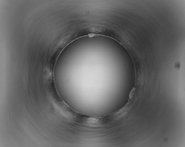 X0000113210176200909241432