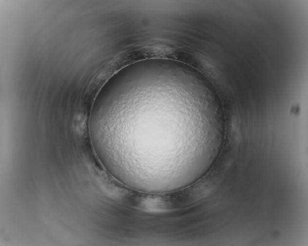 X0000113210177200909241432