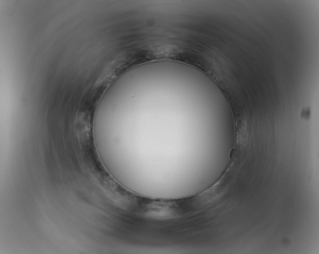 X0000113210179200909241432