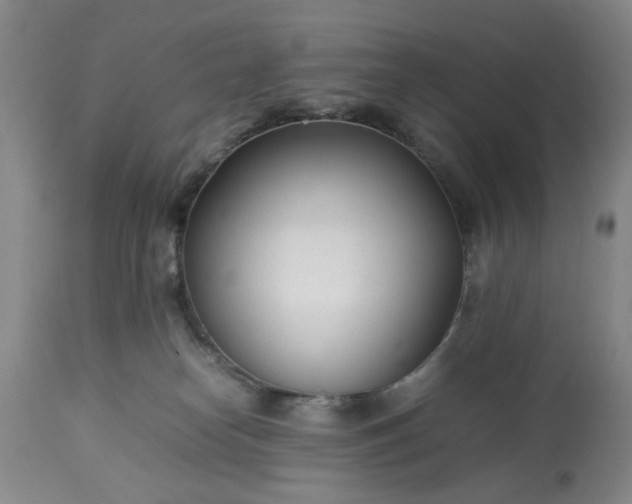 X0000113210182200909241433