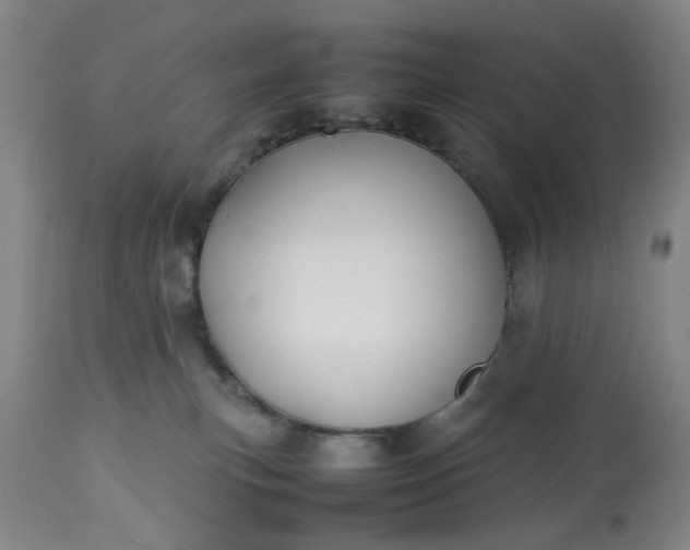 X0000113210183200909241433