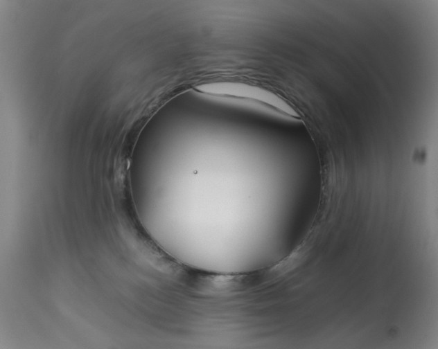 X0000113210184200909241433