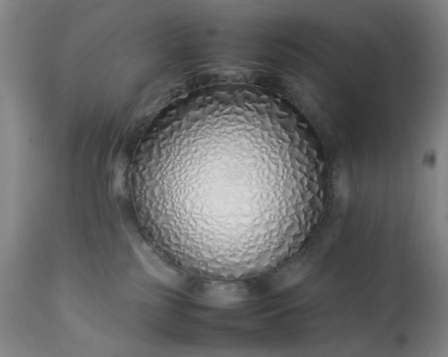 X0000113210185200909241433