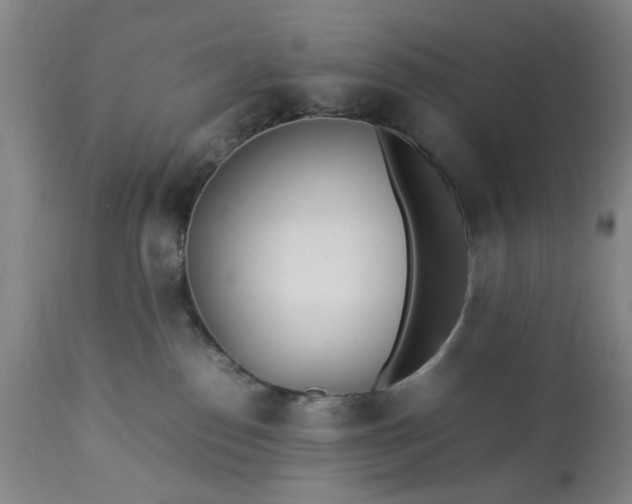 X0000113210186200909241433