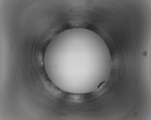 X0000113210187200909241433