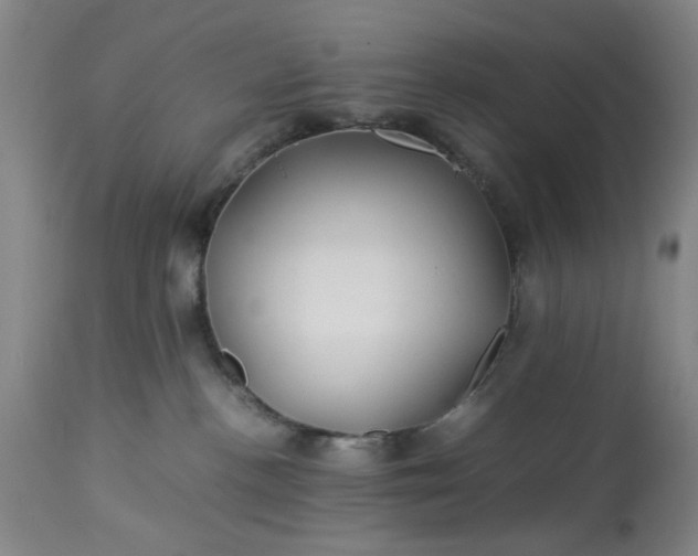 X0000113210188200909241433