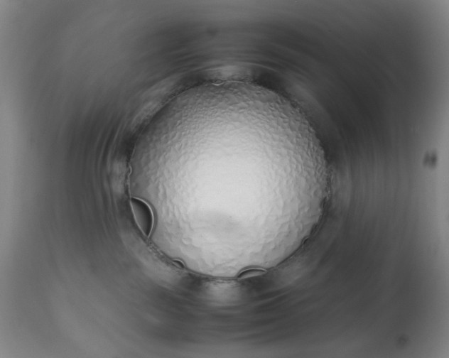 X0000113210189200909241433