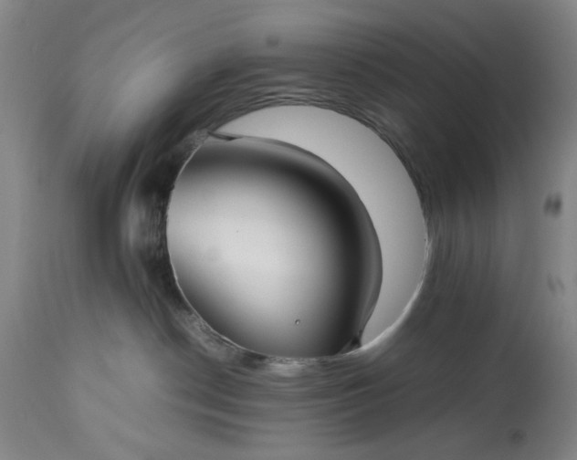 X0000113210190200909241433