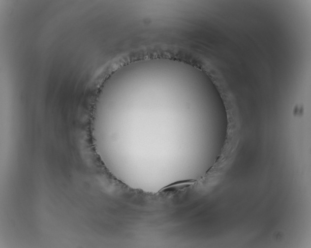 X0000113210192200909241433