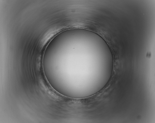 X0000113210194200909241432