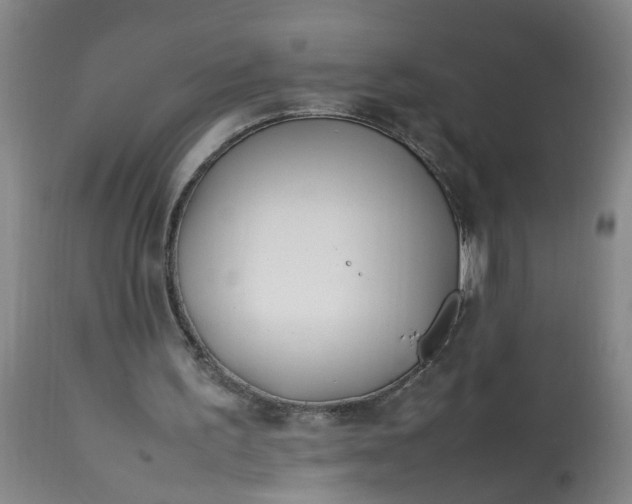 X0000113210195200909241432