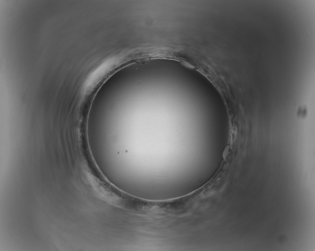 X0000113210197200909241432