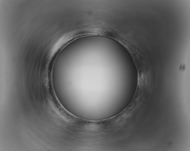 X0000113210198200909241432