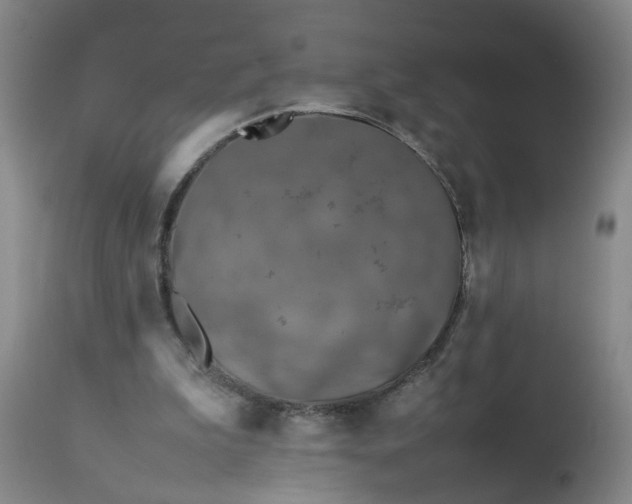 X0000113210199200909241432