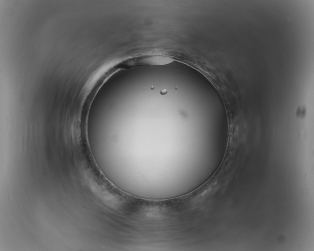 X0000113210200200909241432