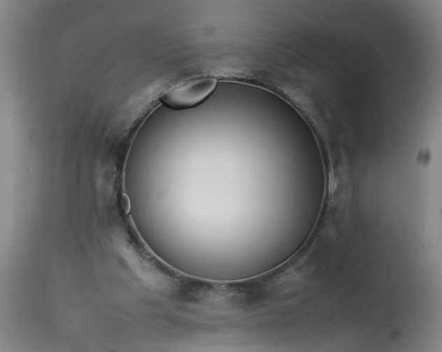 X0000113210201200909241432