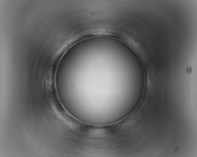 X0000113210202200909241432