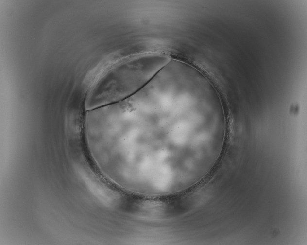 X0000113210203200909241432