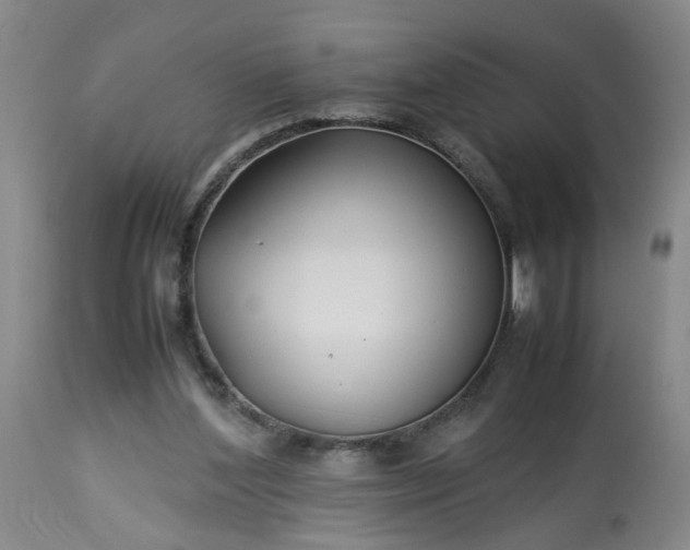 X0000113210204200909241432