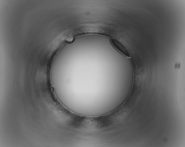 X0000113210207200909241432