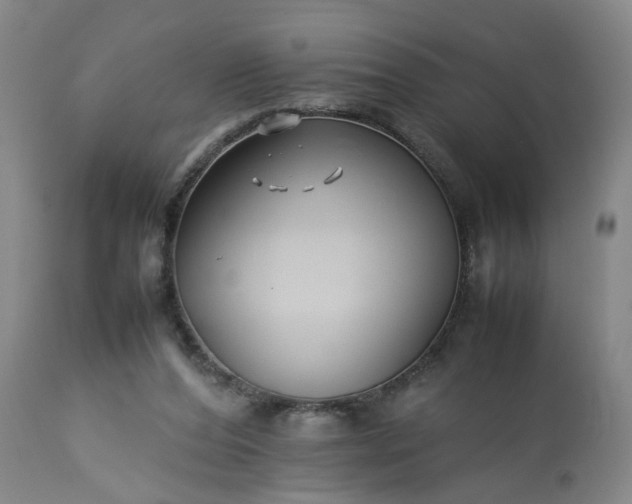 X0000113210208200909241432