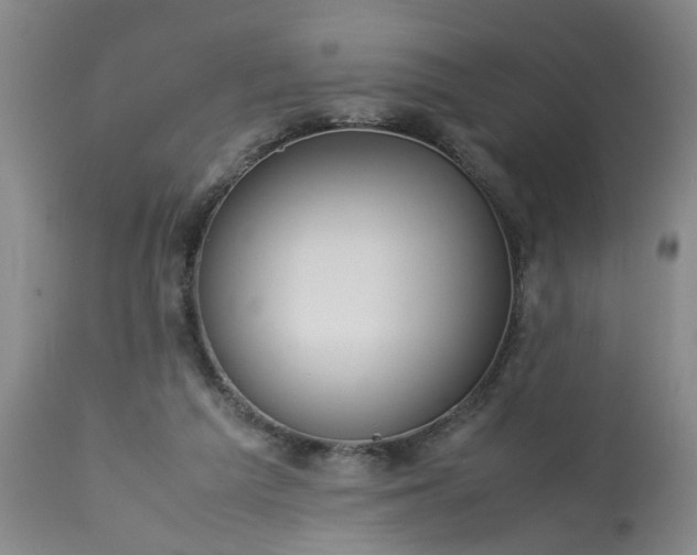 X0000113210209200909241432