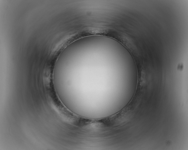 X0000113210210200909241432