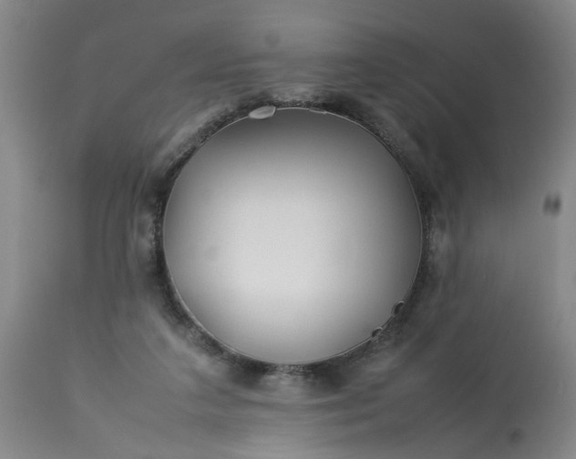 X0000113210211200909241432