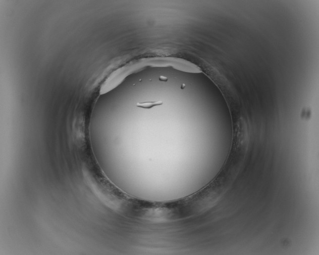 X0000113210212200909241432