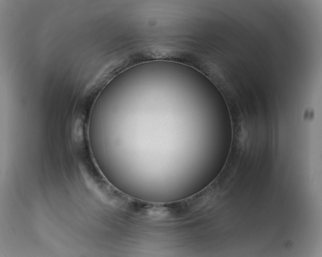 X0000113210214200909241432