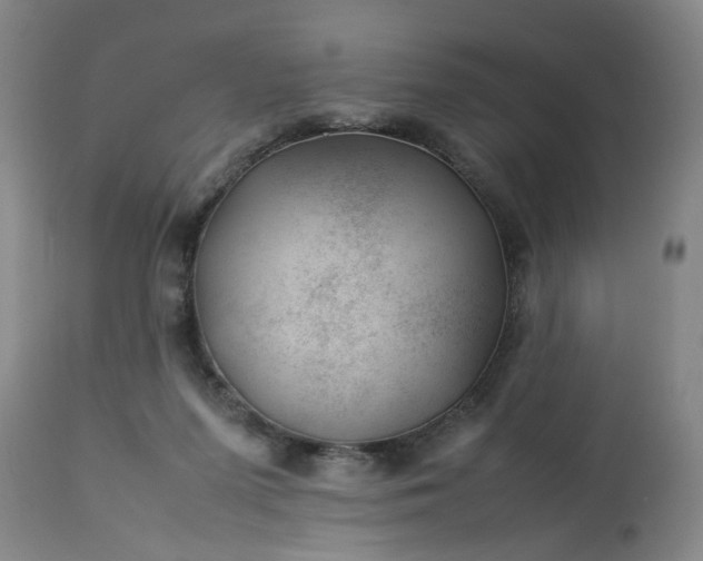 X0000113210215200909241432